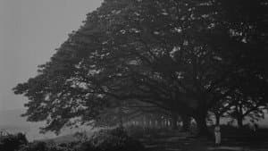 মেঘে ঢাকা তারা — foto 8