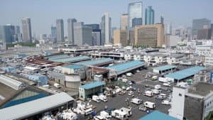 Tokyo, il était une fois le marché aux poissons — foto 1