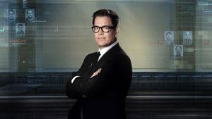 Bull — foto 3