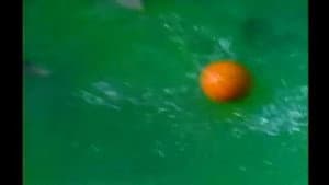 Episodio 13