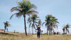 Trajeto do Desmoronamento — foto 4