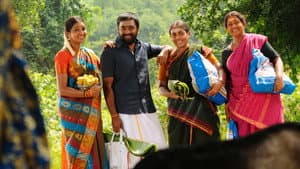 குட்டிப்புலி — foto 5