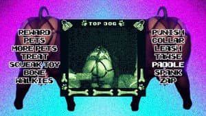 Top Dog — foto 2