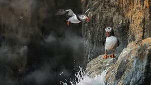 Inside Britain's National Parks — foto 1