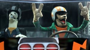 Buddy Thunderstruck — foto 3