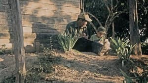 Cuerda al Aire — foto 1