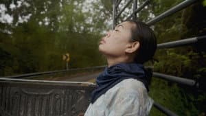 Because Watching Pacifies — foto 1