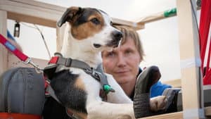 Dogs Might Fly — foto 1