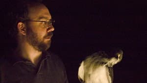 The Hawk Is Dying — foto 1