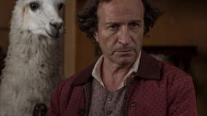 Zama — foto 9