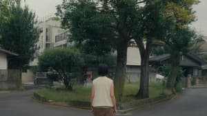 ナミビアの砂漠 — foto 11