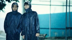 마차 타고 고래고래 — foto 9