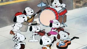 La Reunion de Snoopy's — foto 4