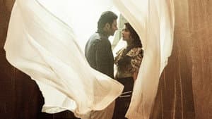 రాధే శ్యామ్ — foto 2