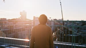 ヴァニタス — foto 8