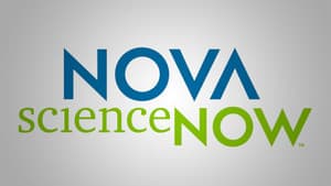 NOVA scienceNOW — foto 6