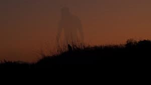 A World Softly Lulls — foto 1