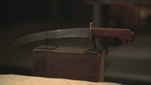 Episodio 14