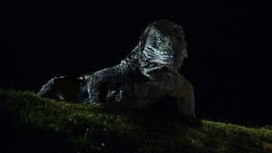 Komodo — foto 1
