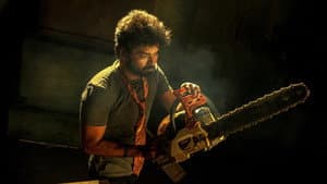 பட்டாம்பூச்சி — foto 4