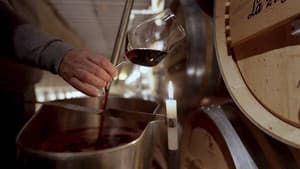 Rioja, la tierra de los mil vinos — foto 4
