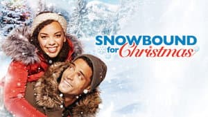 Snowbound for Christmas — foto 5