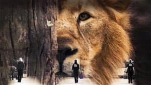 London Zoo: An Extraordinary Year — foto 3