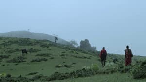 पानीफोटो — foto 1