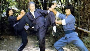 識英雄重英雄 — foto 1