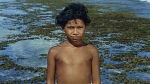 Ti-Koyo e il suo pescecane — foto 3
