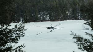 Radiant Frost — foto 2