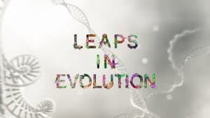 Leaps In Evolution — foto 2