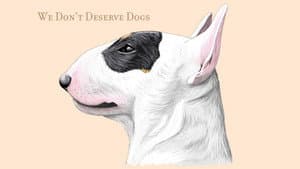 We Don't Deserve Dogs — foto 5