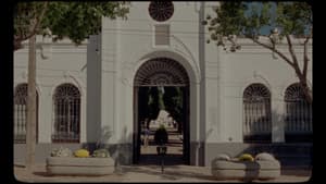 Morir antes de morir — foto 3