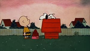 Un chico llamado Charlie Brown — foto 3
