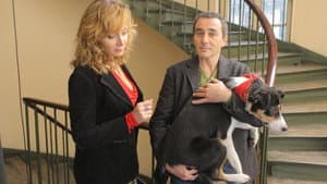 Un divorce de chien — foto 1