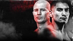 Serhii Bohachuk vs. Vergil Ortiz Jr. — foto 5