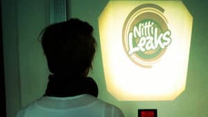 Nittileaks — foto 1