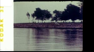 Echoed Silence — foto 6