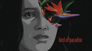 Bird of Paradise — foto 1