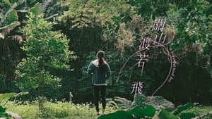 關山渡若飛 — foto 1