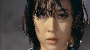 処女監禁 — foto 11