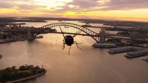 The Great Australian Fly — foto 6