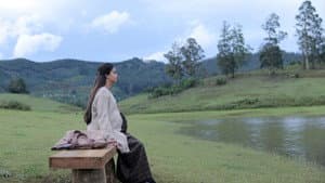 பெண்குயின் — foto 10