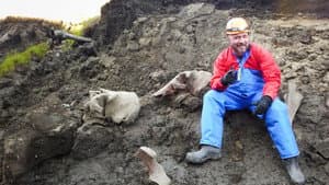 Mammoth Unearthed — foto 4