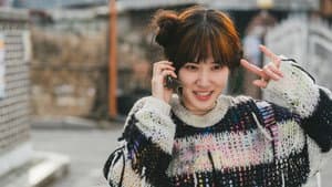 원더풀스 — foto 10