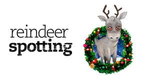 Reindeerspotting – pako Joulumaasta — foto 2