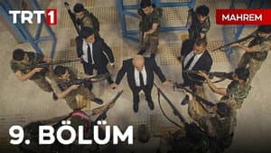 Episodio 9
