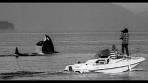 The Snake and the Whale — foto 5