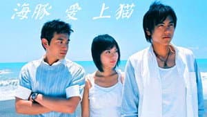 海豚爱上猫 — foto 2